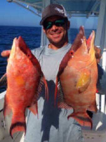 clearwater-fishing-charters-1